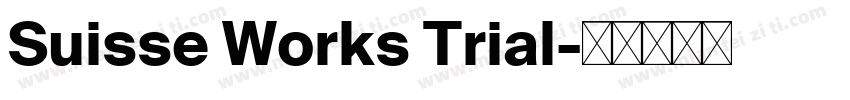 Suisse Works Trial字体转换